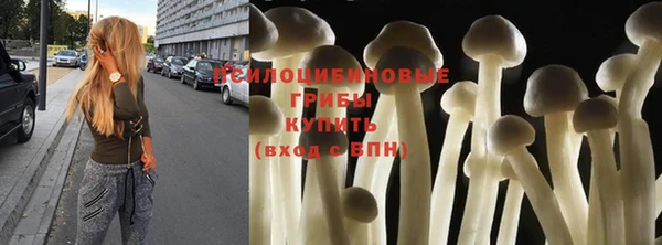 героин Ладушкин