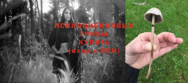 стафф Лагань