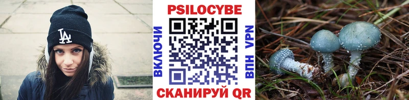 где купить   Усть-Илимск  Галлюциногенные грибы Psilocybe 