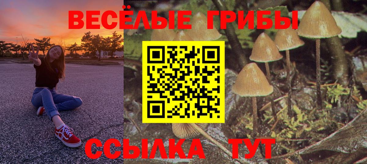Лсд 25 Усть-Илимск