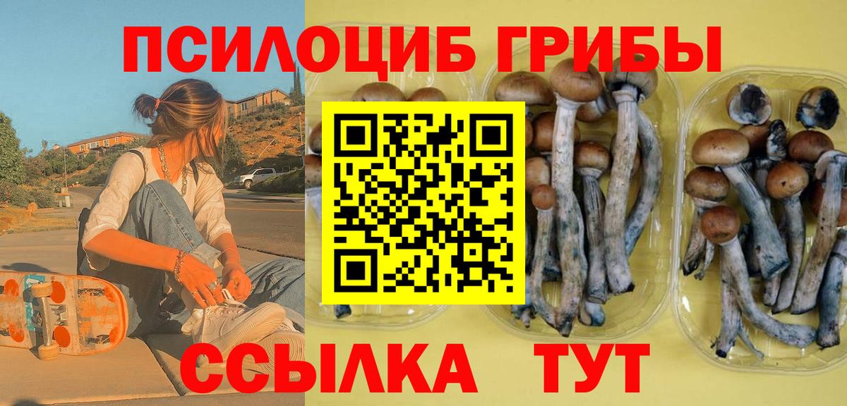 Усть-Илимск  Галлюциногенные грибы GOLDEN TEACHER  Псилоцибиновые грибы мицелий  Вход с VPN 